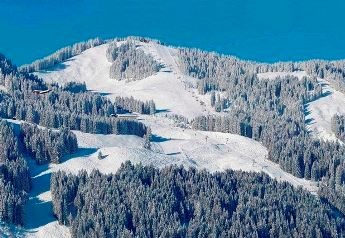 oberer Teil des Skigebiets